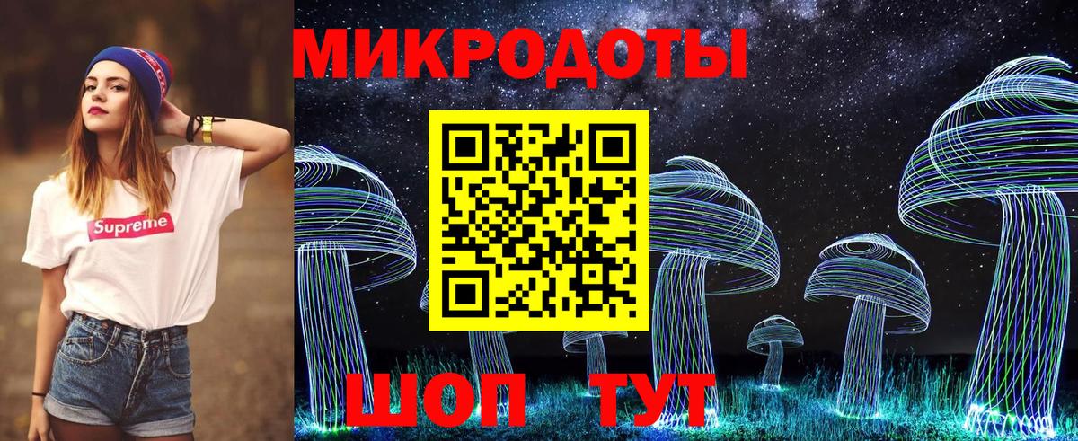 Вичуга  Галлюциногенные грибы Psilocybine cubensis  Вход с VPN 
